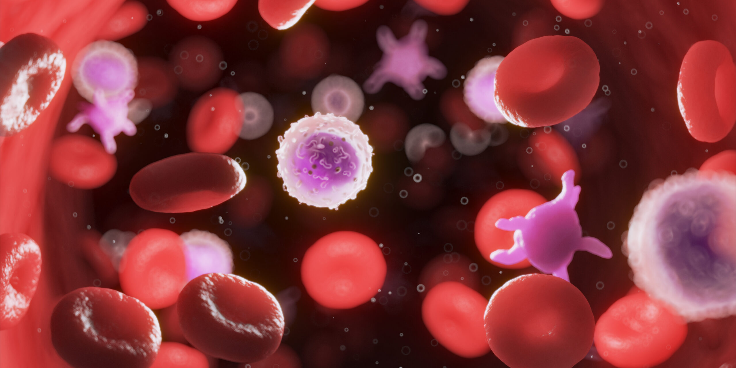 Copyright@AdobeStock